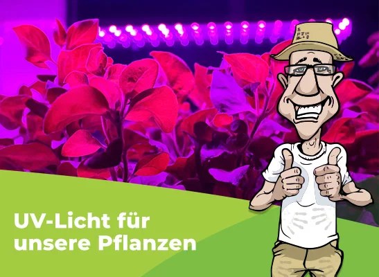 Lohnt sich die Anschaffung einer Grow-Led Pflanzenlampe mit UV-Licht? - Brauchen Pflanzen UV-Licht?
