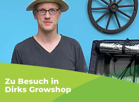 Dirks-Growshop.de für Home-Growing - Dirks Growshop: Profi-Equipment für Home Growing